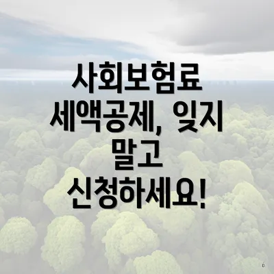 사회보험료 세액공제, 잊지 말고 신청하세요!
