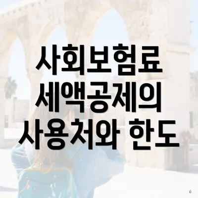 사회보험료 세액공제의 사용처와 한도
