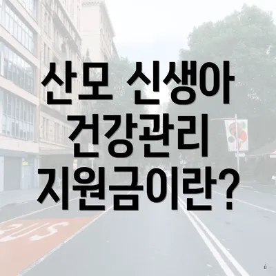 산모 신생아 건강관리 지원금이란?