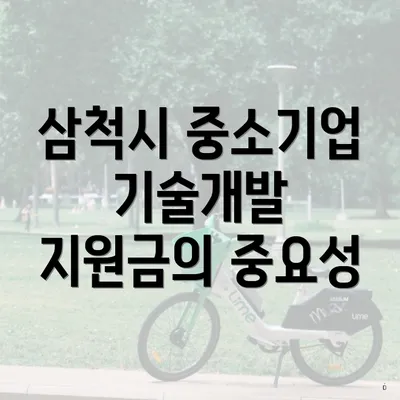 삼척시 중소기업 기술개발 지원금의 중요성