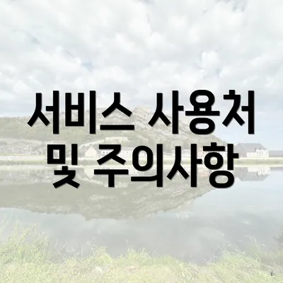 서비스 사용처 및 주의사항