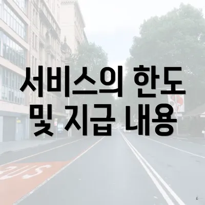 서비스의 한도 및 지급 내용