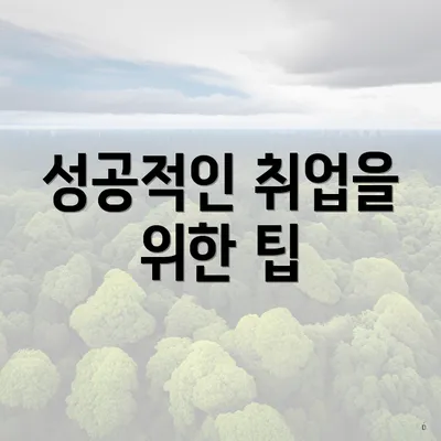 성공적인 취업을 위한 팁