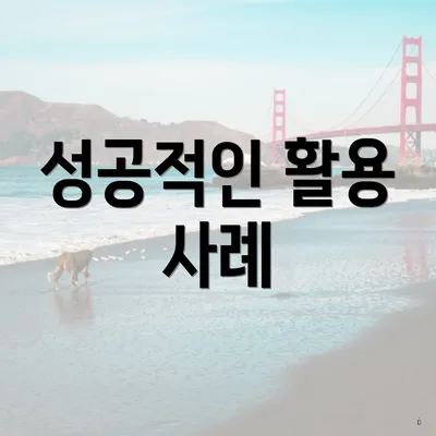 성공적인 활용 사례