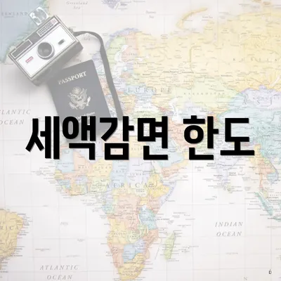 세액감면 한도