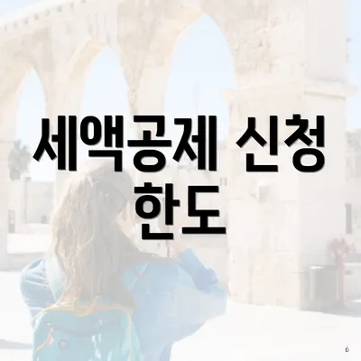 세액공제 신청 한도