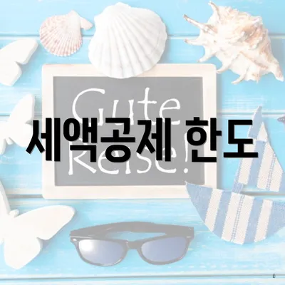 세액공제 한도
