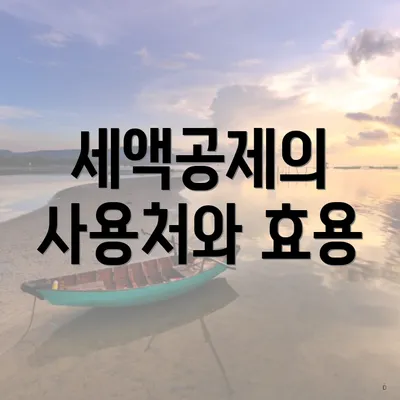세액공제의 사용처와 효용