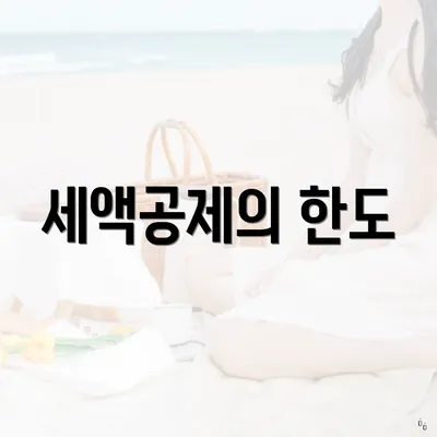 세액공제의 한도