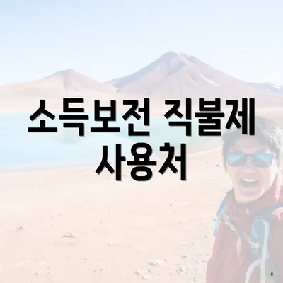 소득보전 직불제 사용처