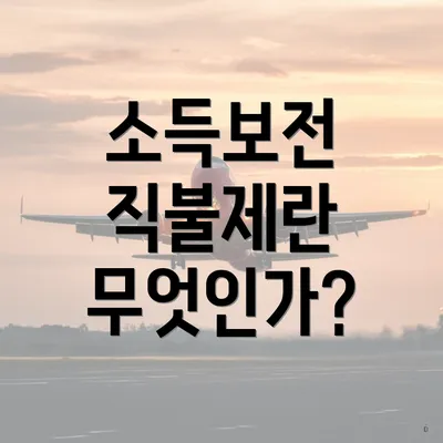 소득보전 직불제란 무엇인가?
