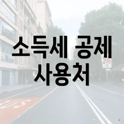 소득세 공제 사용처