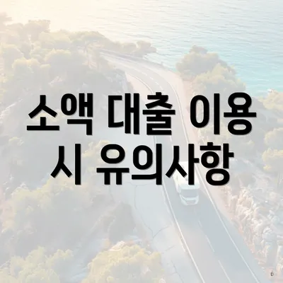 소액 대출 이용 시 유의사항