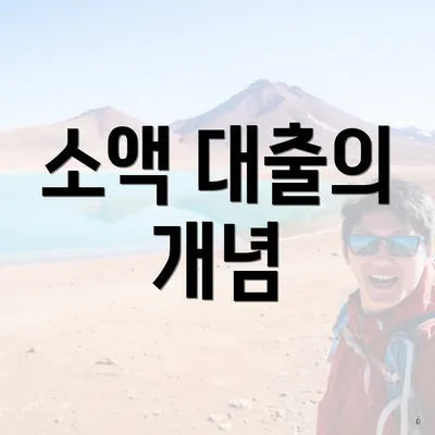 소액 대출의 개념