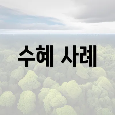 수혜 사례