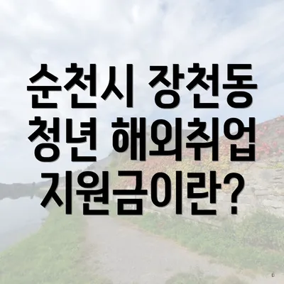 순천시 장천동 청년 해외취업 지원금이란?