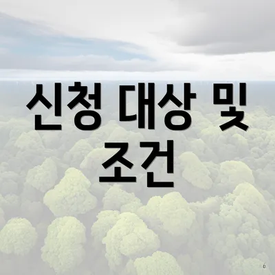 신청 대상 및 조건
