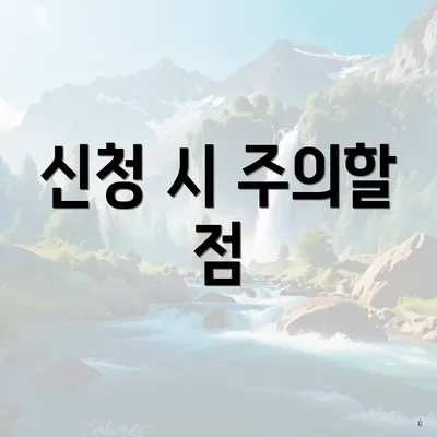 신청 시 주의할 점