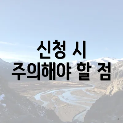 신청 시 주의해야 할 점
