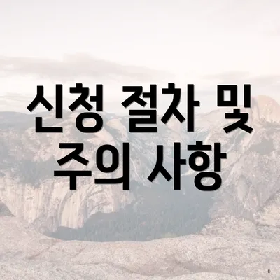 신청 절차 및 주의 사항