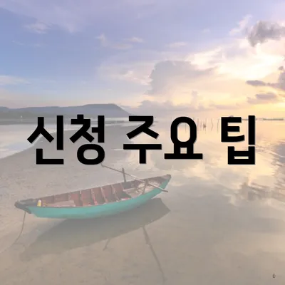 신청 주요 팁