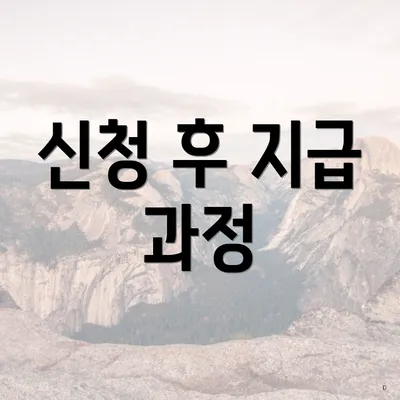 신청 후 지급 과정