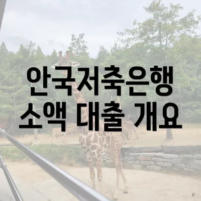안국저축은행 소액 대출 개요