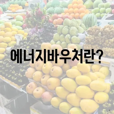 에너지바우처란?