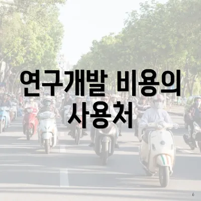 연구개발 비용의 사용처