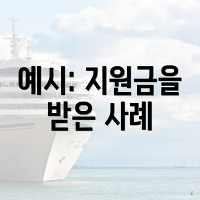 예시: 지원금을 받은 사례