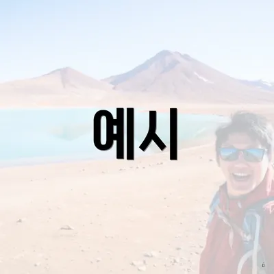예시