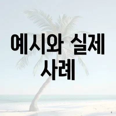 예시와 실제 사례