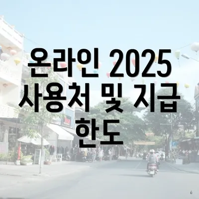 온라인 2025 사용처 및 지급 한도