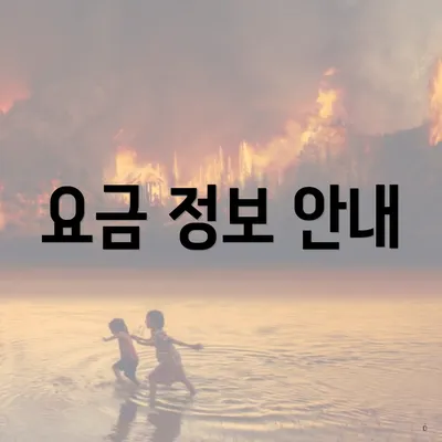 요금 정보 안내