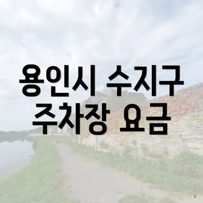 용인시 수지구 주차장 요금