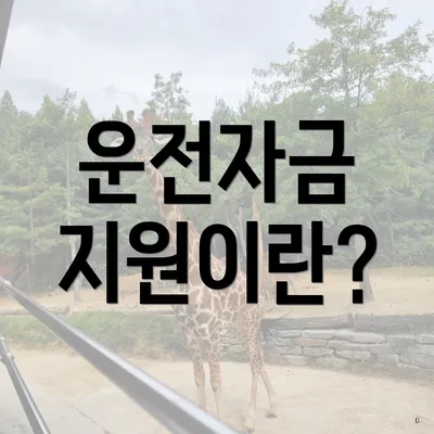 운전자금 지원이란?