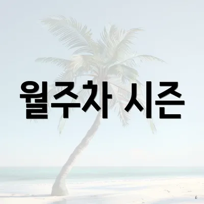 월주차 시즌