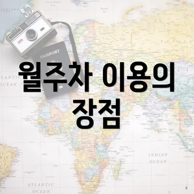 월주차 이용의 장점