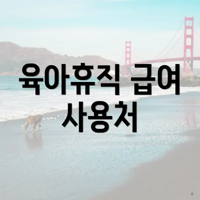 육아휴직 급여 사용처