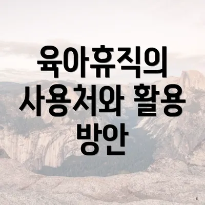 육아휴직의 사용처와 활용 방안