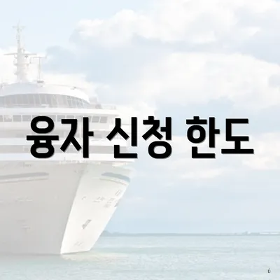 융자 신청 한도