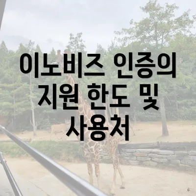 이노비즈 인증의 지원 한도 및 사용처