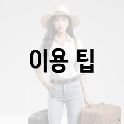 이용 팁