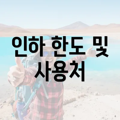 인하 한도 및 사용처
