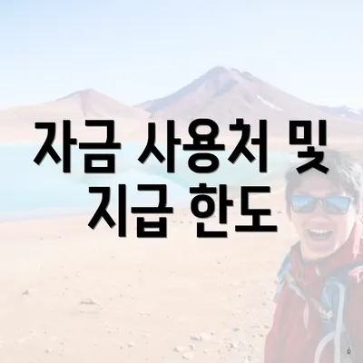 자금 사용처 및 지급 한도