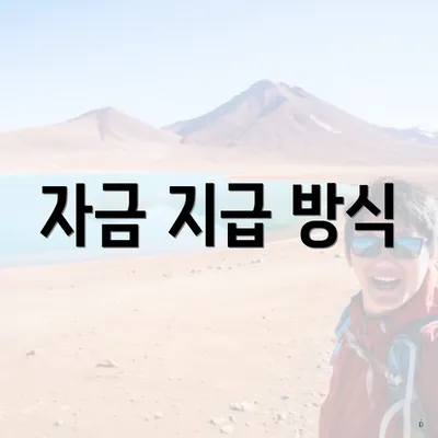 자금 지급 방식