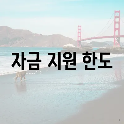 자금 지원 한도