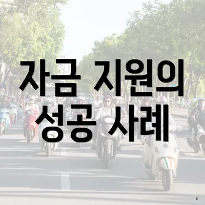자금 지원의 성공 사례