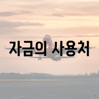 자금의 사용처
