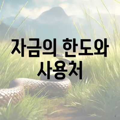 자금의 한도와 사용처
